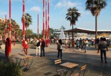 EOI opens for Blackwattle Bay precinct