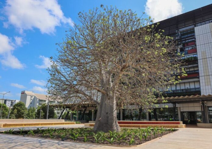 New Charles Darwin University city campus opens - Inside State Government