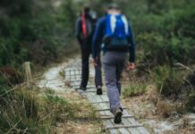 World-class Albany trail network to boost local tourism