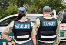 Milestone for Queensland parks ranger recruitment program