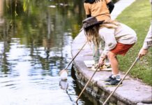 Visitor numbers in full bloom for Sydney Botanic Gardens