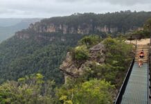 Record visitation for NSW National Parks