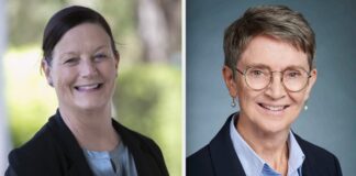 Former MLC joins Busselton Water governance team