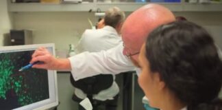 Melbourne cancer education program wins international praise