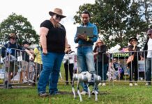 UniSC project teaches robodogs new herding tricks