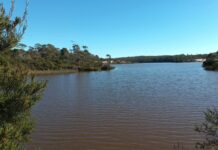 Tasmanian Govt reopens Pioneer Lake after dam decommissioning