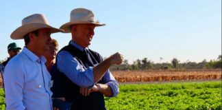 Central Queensland research turning up the heat on grain production