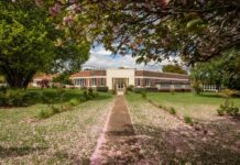 Consultation launched for Deloraine school redevelopment