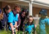 Tasmanian Govt to expand Multi-School Organisation trial