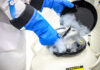 New online tool lays guidance around egg-freezing decisions