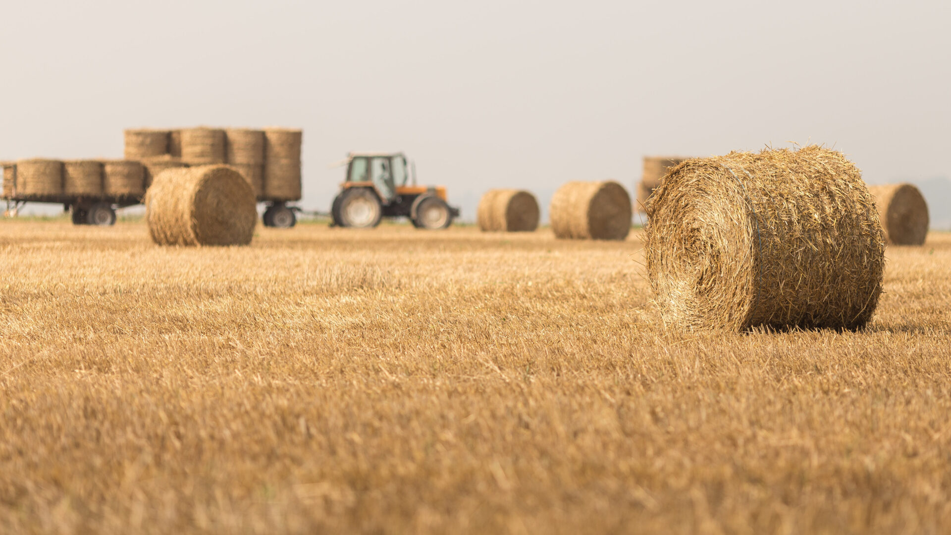 New Queensland permit system to support the transport of baled goods